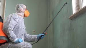 Best Mold Remediation for Healthcare Facilities  in Ciborne, LA